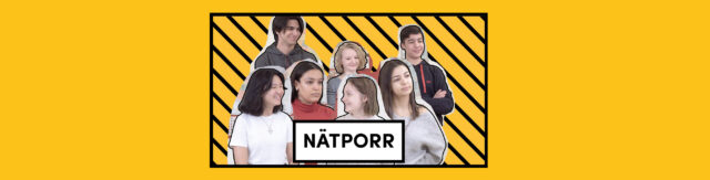 Nätporr – Ungdomspanelen